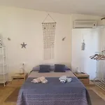 Triplex * 帕拉莫斯